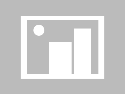 创作团队回应了：解释蘑菇视频平台｜信息量很大