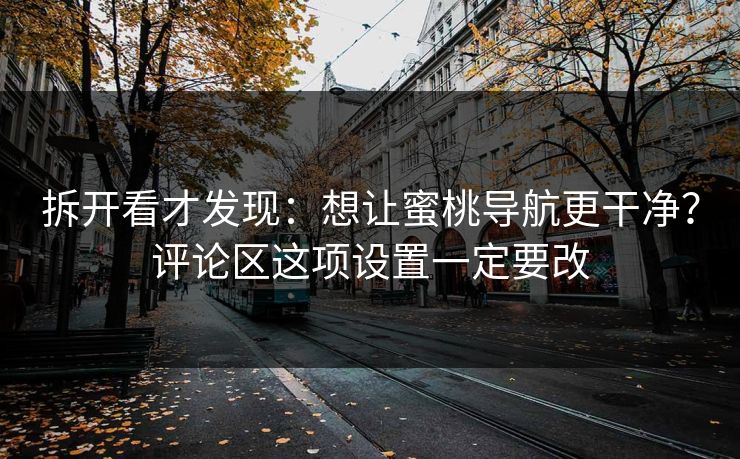 拆开看才发现：想让蜜桃导航更干净？评论区这项设置一定要改